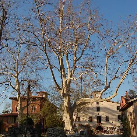 Piaggetta Bed & Breakfast Quiesa